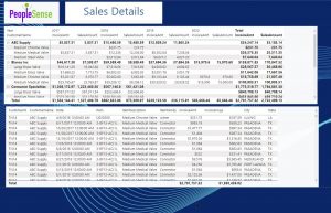 Power BI Sales Details