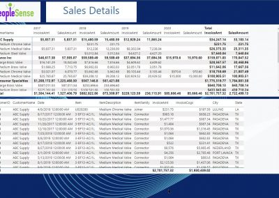 Power BI Sales Details