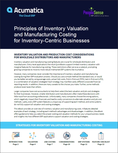 Principles of Inventory Valuation and Manufacturing Costing for Inventory-Centric Businesses eBook