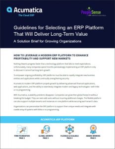 Guidelines for Selecting an ERP Platform That Will Deliver Long-Term Value