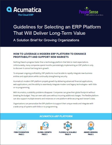 Guidelines for Selecting an ERP Platform That Will Deliver Long-Term Value