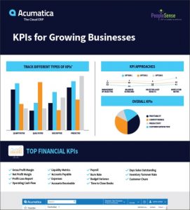 KPIs for Growing Businesses Infographic
