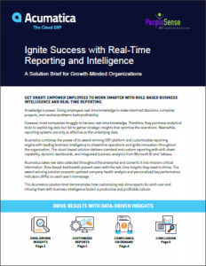 Ignite Success with Real-Time Reporting and Intelligence Solution Brief